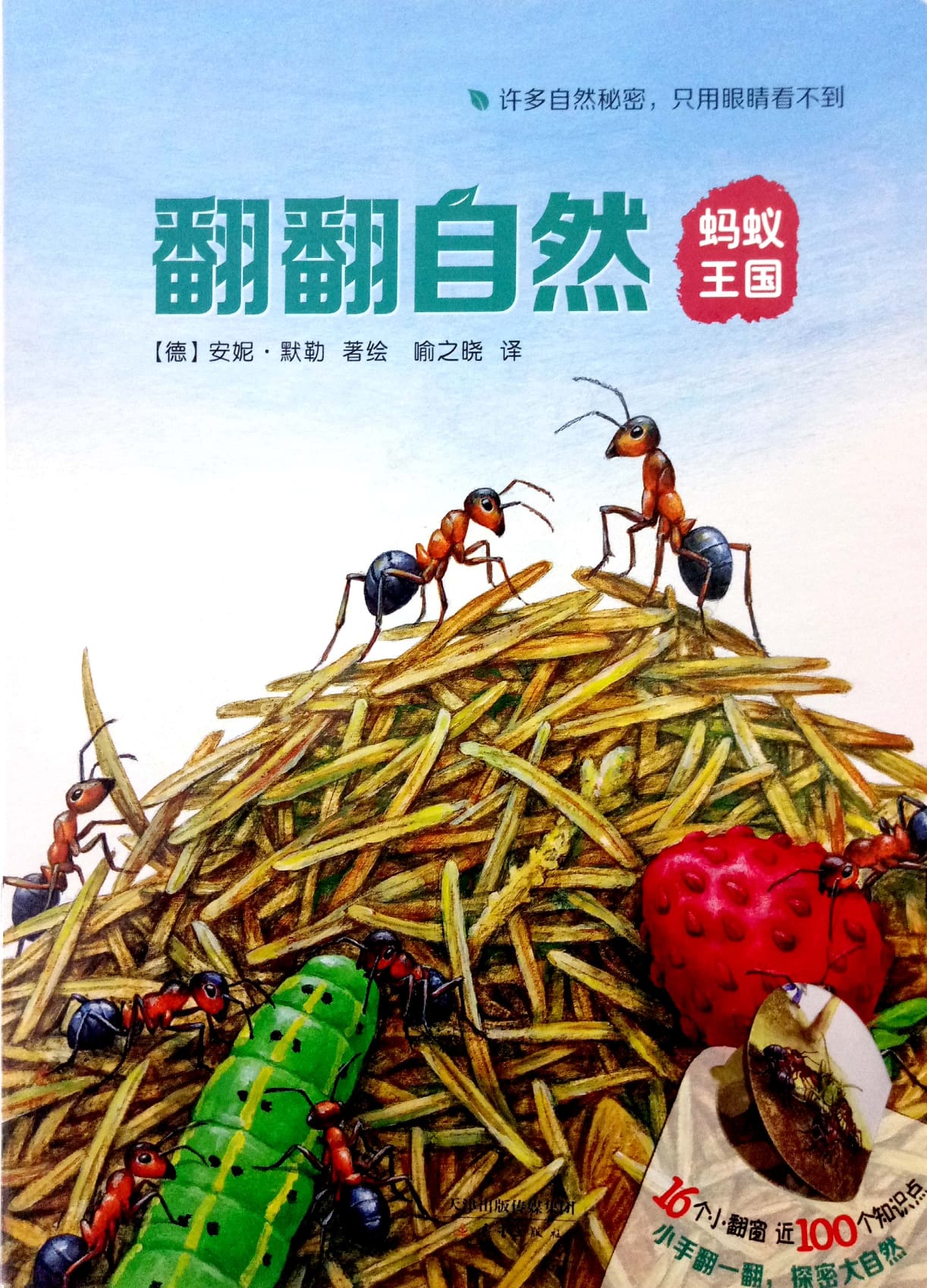 大蚂蚁王国中文版图片