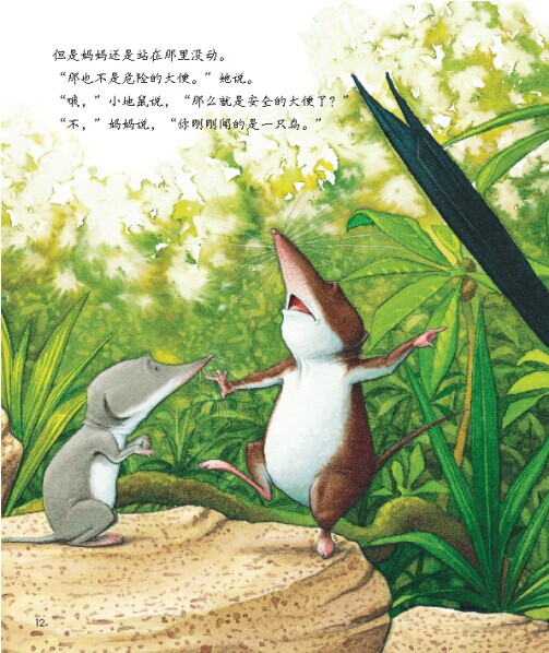 插图