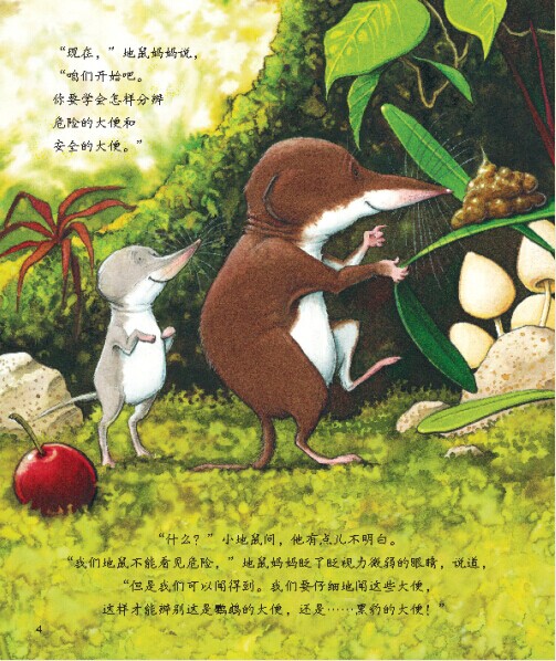 插图