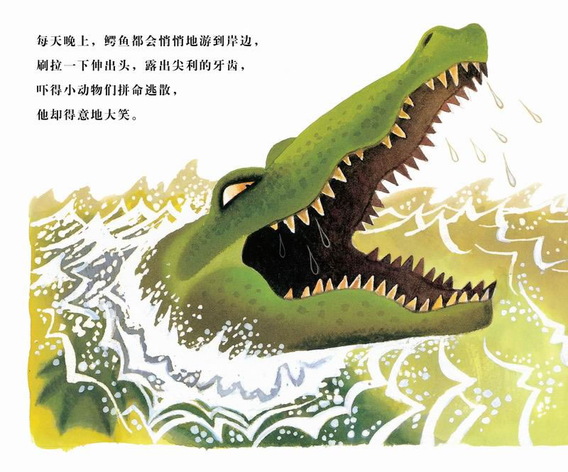 插图