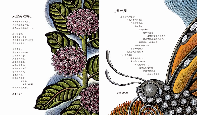 插图
